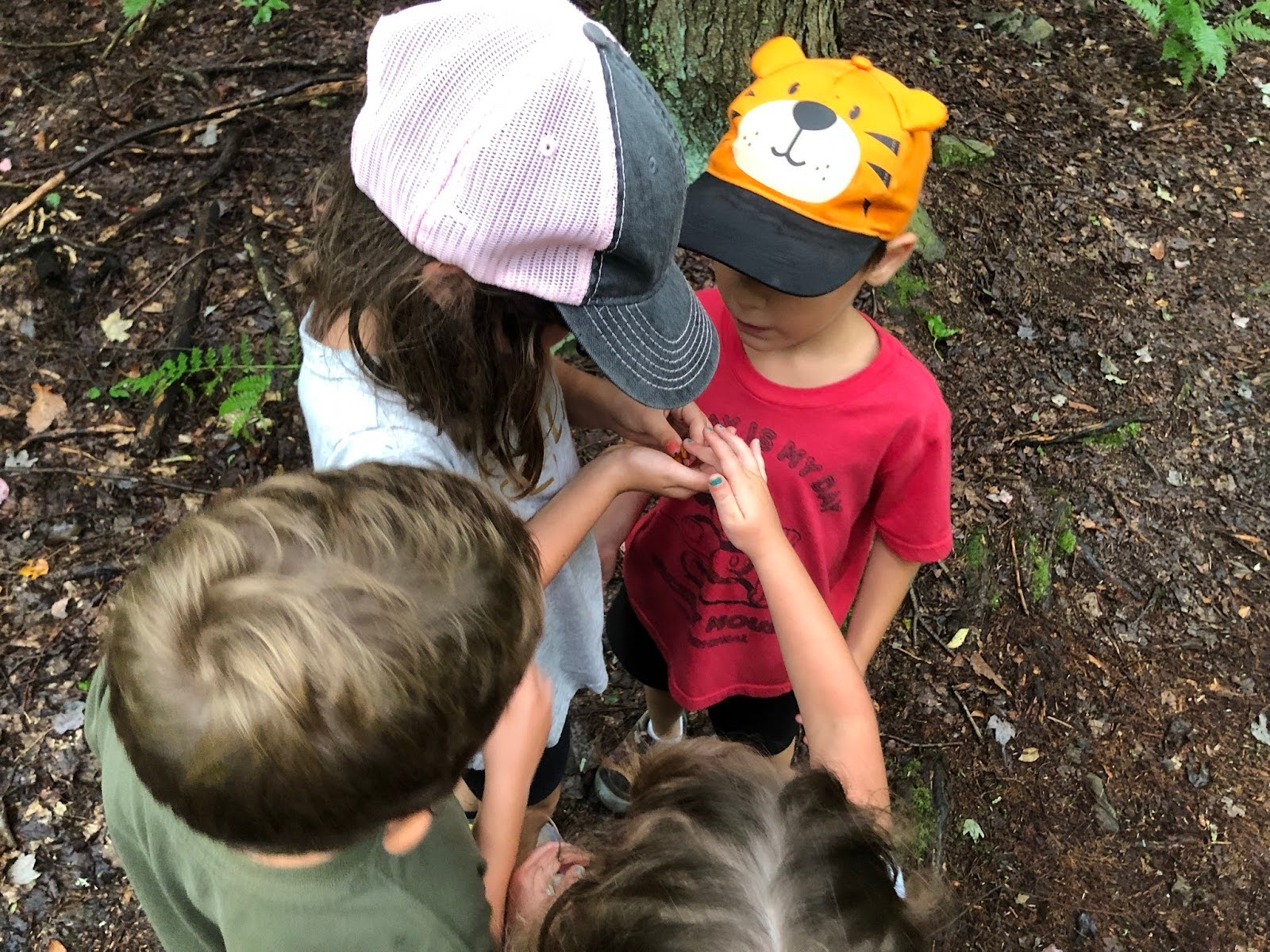 Four kids looking at a salamander together.